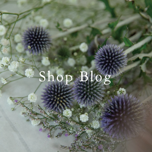 SHOP BLOG
